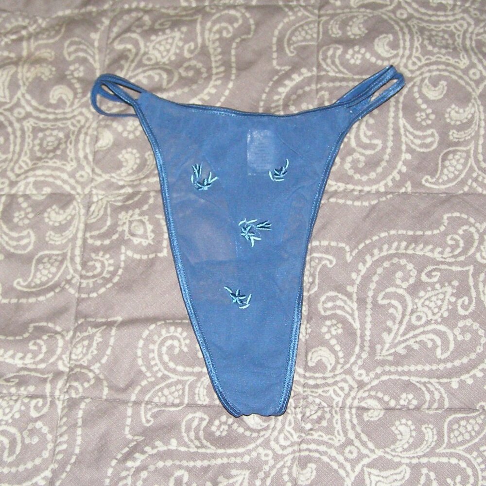 NWOT size Small Stretchy Sheer Thong Cute Blue Floral Embroidery